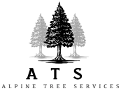 ATS Logo _ compressed